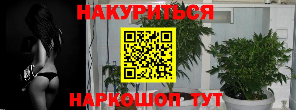 Канабис планчик  Канабис ГИДРОПОН  Вход с VPN  Бошки марихуана ГИДРОПОН  Архангельск 